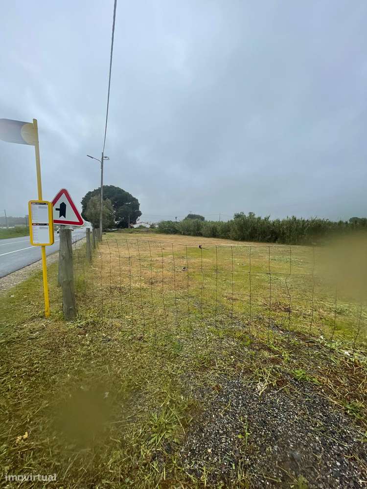 Palmela >Terreno de 2.500m² na Estrada N10 por apenas 195.000€!-4