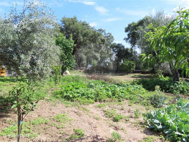 Quinta  para venda-42