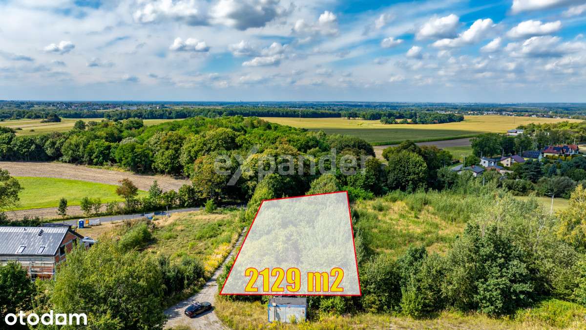 ul. Grudniowa, Zielona i Spokojna okolica! - Pełny obrazek: 3/19