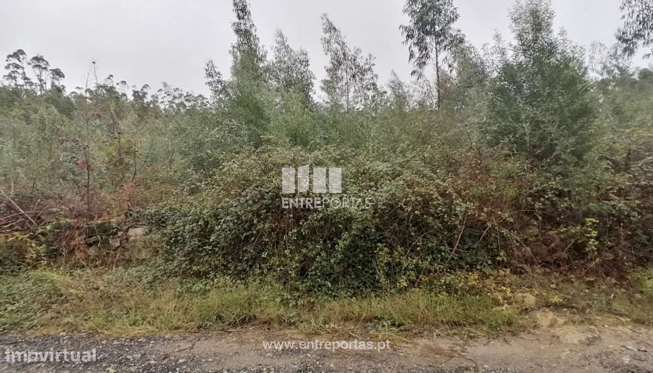 Venda de Terreno florestal com 20 668 m2, Vairão, Vila do Conde - Grande imagem: 4/8