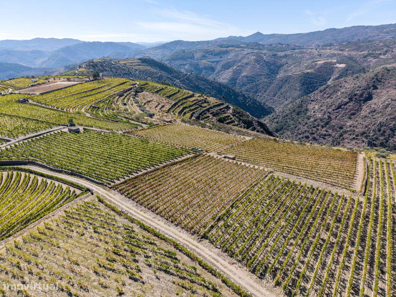 VINHA À VENDA EM MURÇA – REGIÃO DEMARCADA DO DOURO-18
