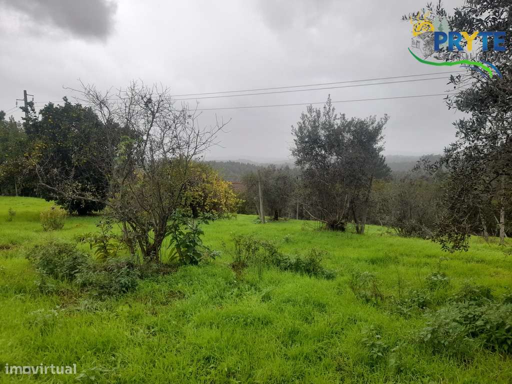 Moradia de tipologia T2 situada a 5 minutos da Vila da Sertã-34