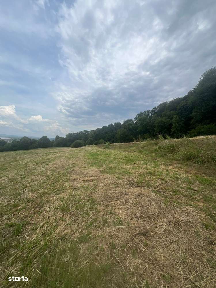 Teren între Tălmaciu și Racoviță – 25.000 mp în mijlocul naturii! - Imagine principală: 1/5