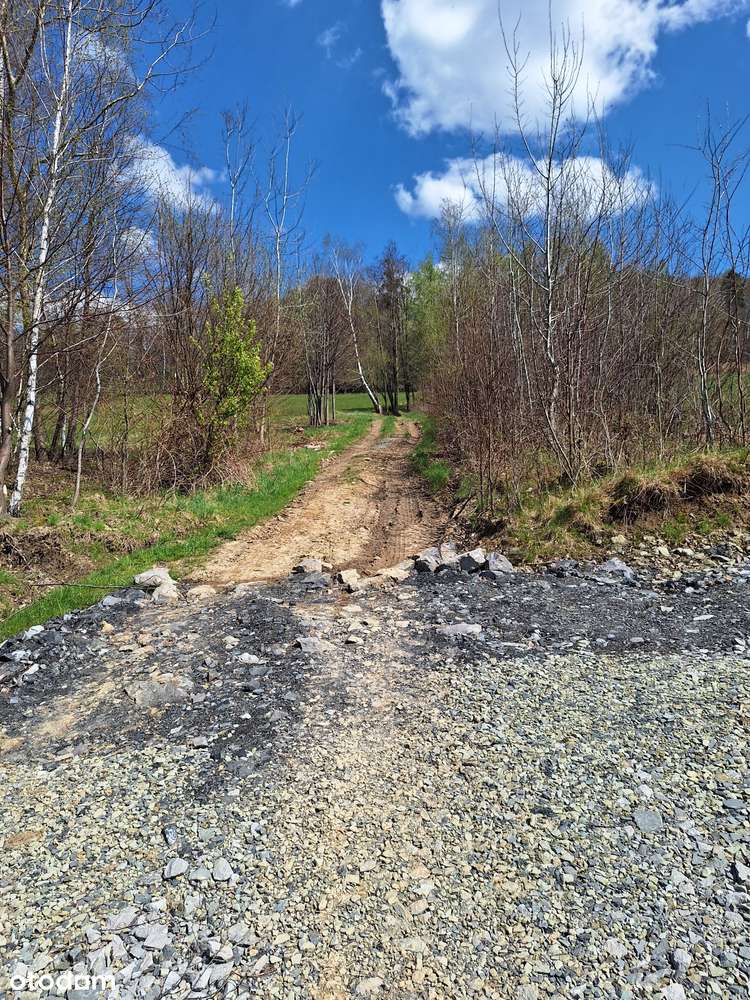 cisza, góry i las...-8