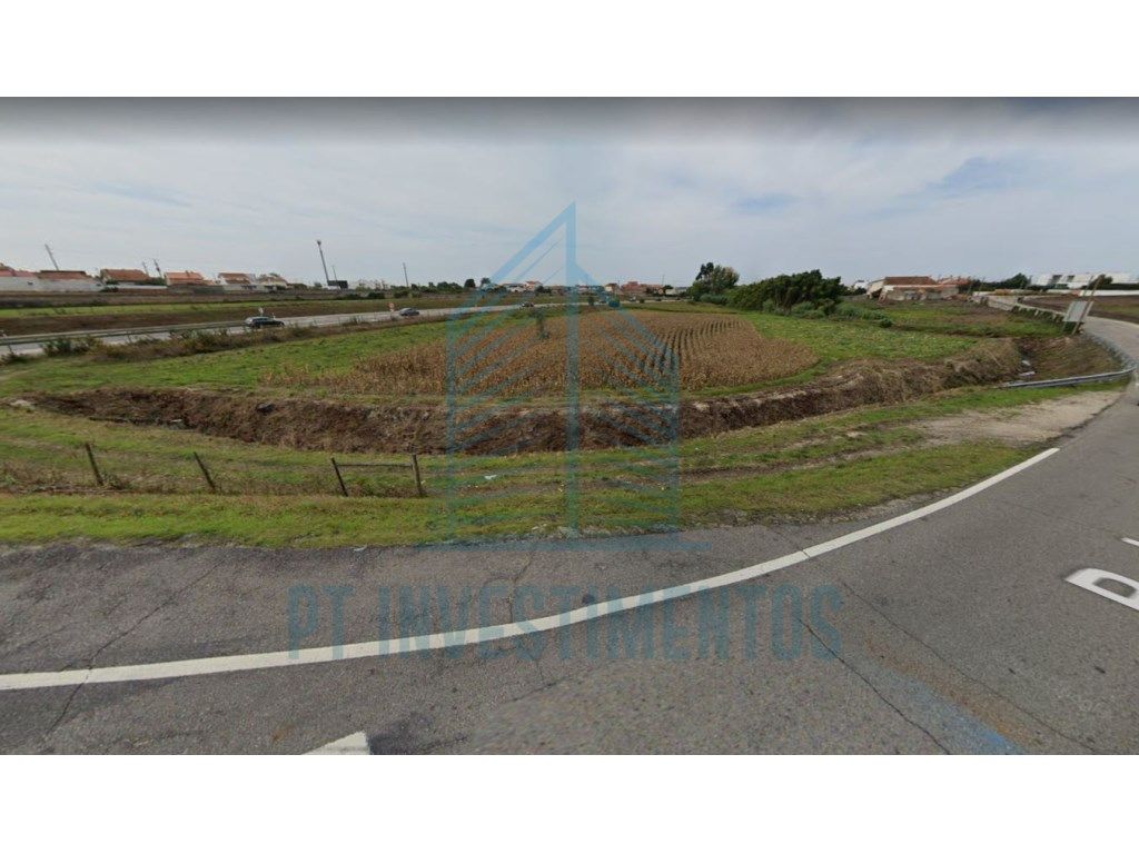 TERRENO COM 18.000m² EM ARADAS - AVEIRO