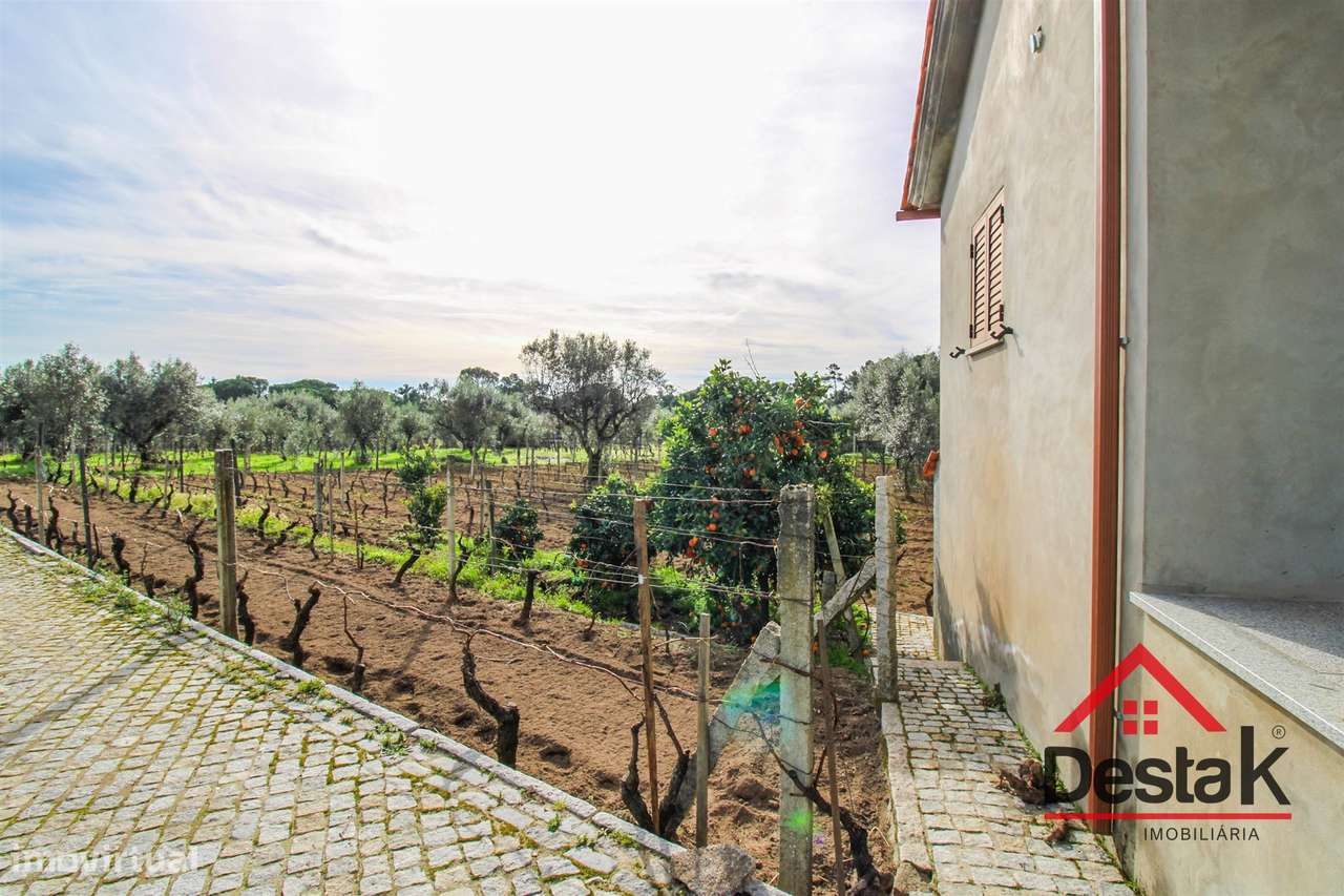 Quinta Vinhateira na região do Dão em Passos de Silgueiros - Grande imagem: 4/17