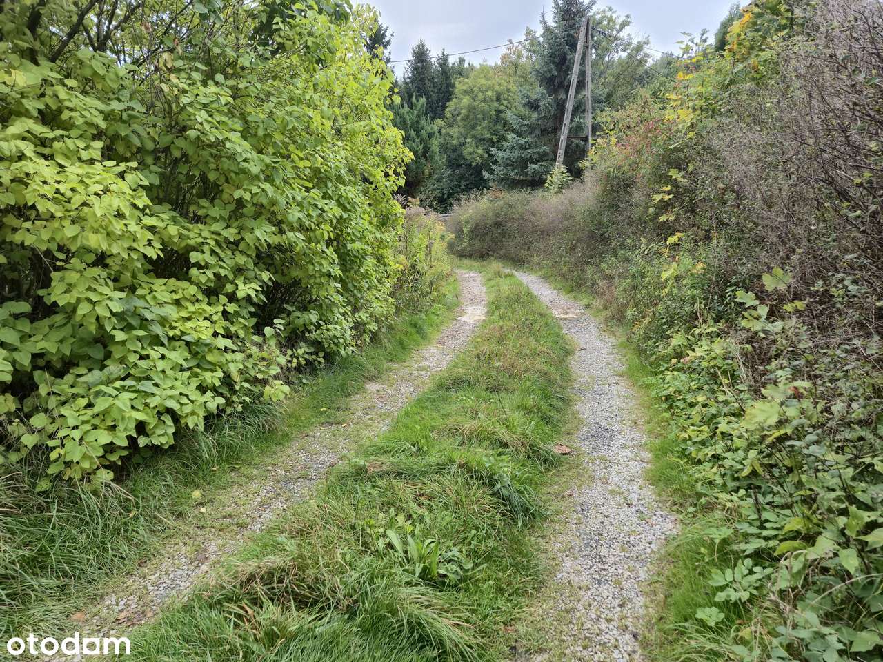 Klimatyczne stare siedlisko - Pełny obrazek: 4/20