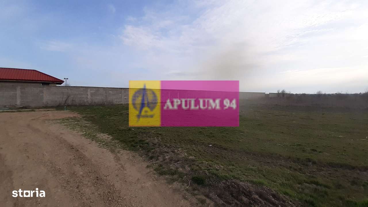 Parcelă lângă pădure în Ilfov - Imagine principală: 3/9