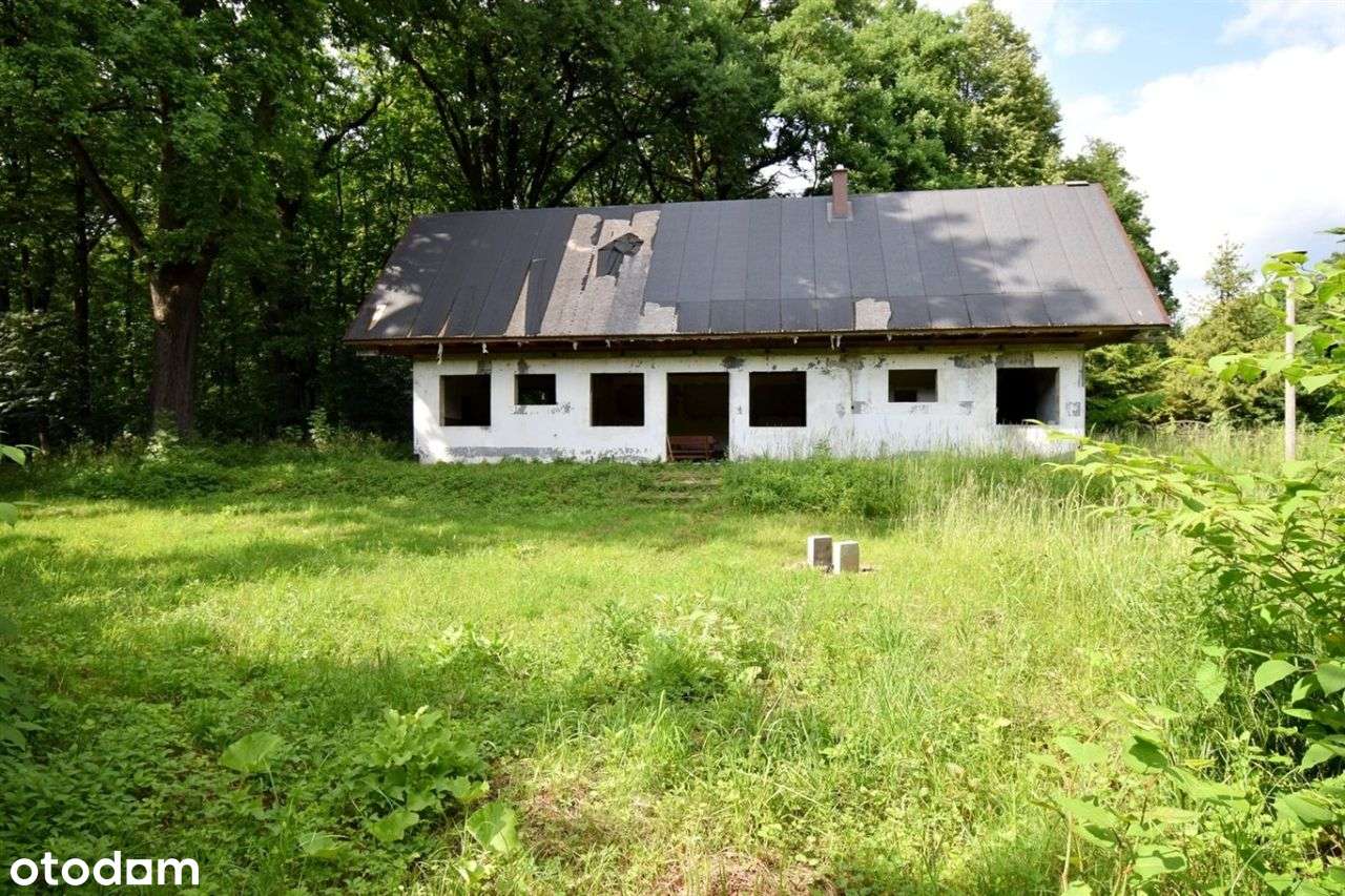 Budynek Rekreacyjny 80m2, Drogomyśl,Działka 4435m2-5