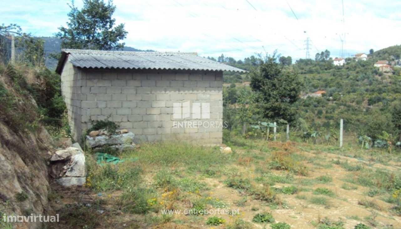 Venda Terreno, Santiago de Piães, Cinfães - Grande imagem: 5/22