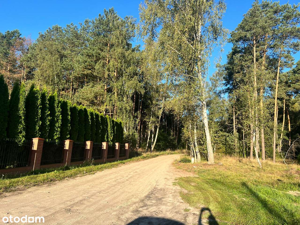 budynek użytkowy na wynajem od zaraz Zielonka Białe Błota - Pełny obrazek: 5/7