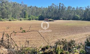 Terreno agrícola com 45.000m2 e 100m frente em Balazar, Póvoa de va...