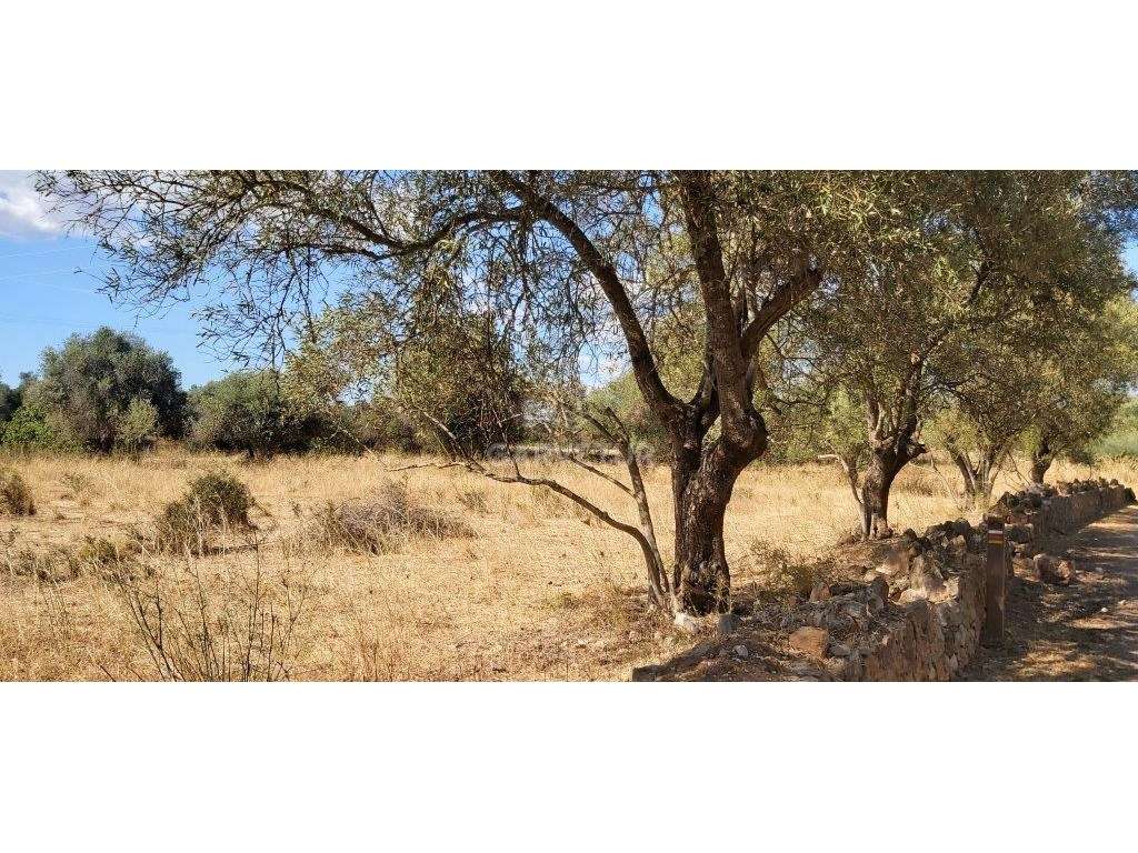 Terreno rústico, em zona agrícola, Amoreira, Paderne, Albufeira, Al... - Grande imagem: 4/18