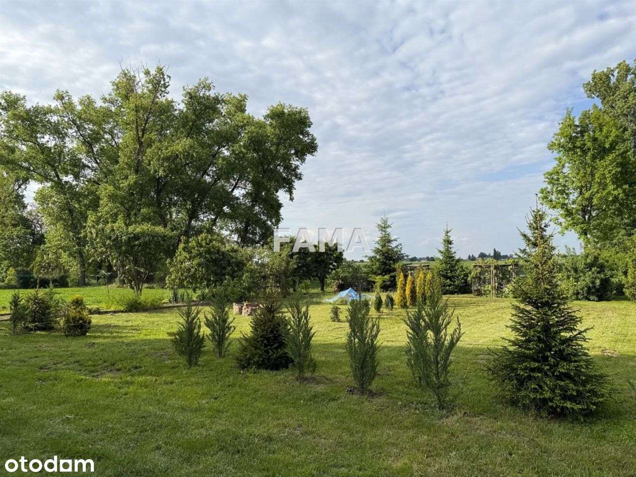 Budynek 270 mkw, działka 2264 mkw, Kujawka - Pełny obrazek: 4/19