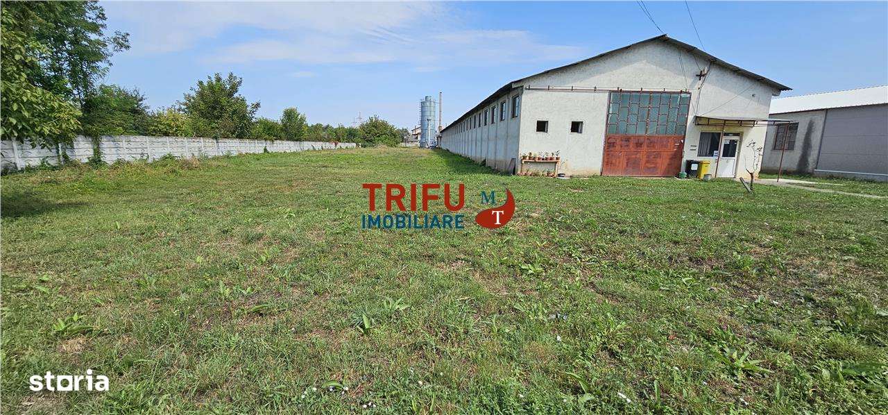 Hala de inchiriat Alba Iulia - Imagine principală: 2/8