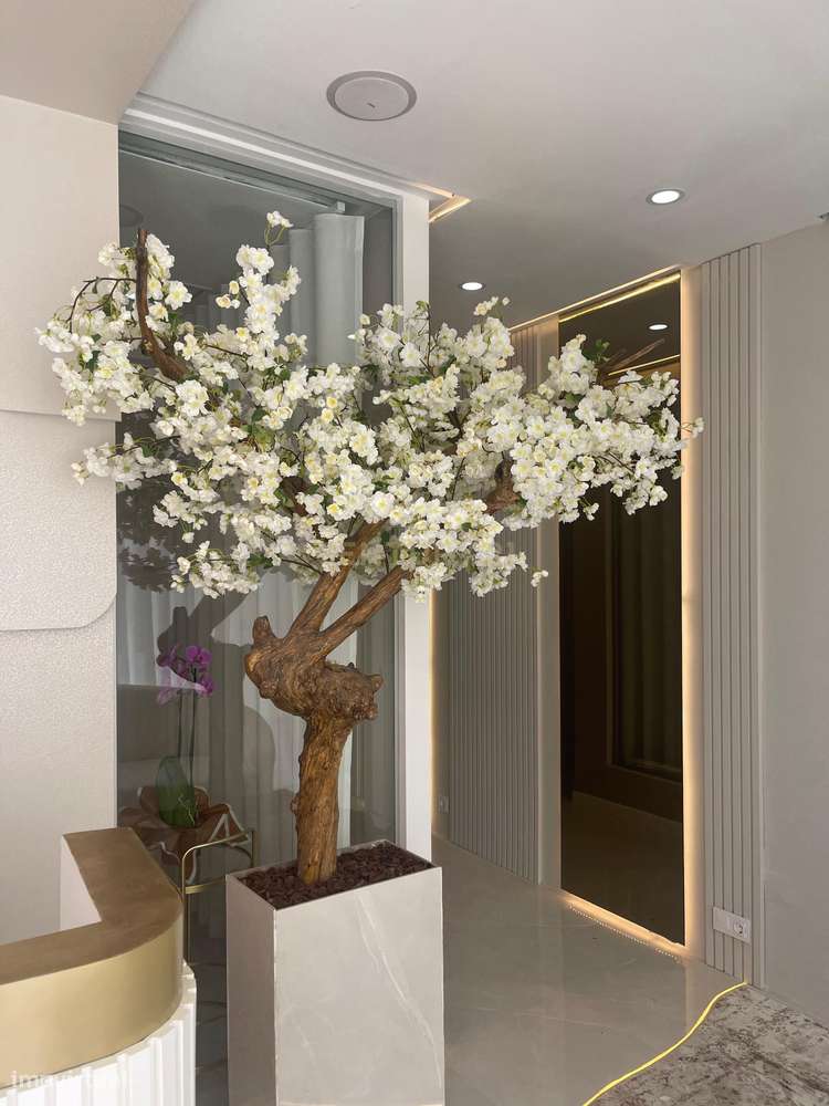 CLÍNICA MÉDICA DE LUXO | LISBOA, exclusividade, sofisticação e excelên - Grande imagem: 5/15