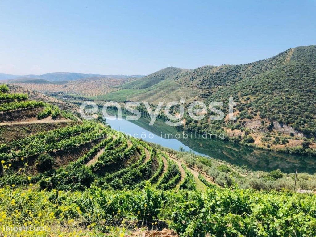 Quintinha com vista deslumbrante sobre o Douro Internacional