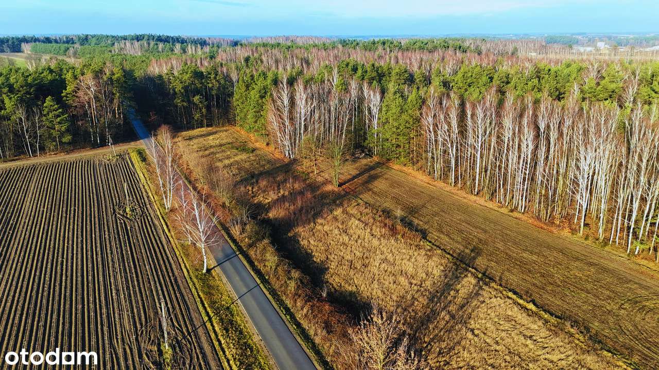Działki budowlane przy lesie 1343 m2 | media | przy drodze asfaltowej-3