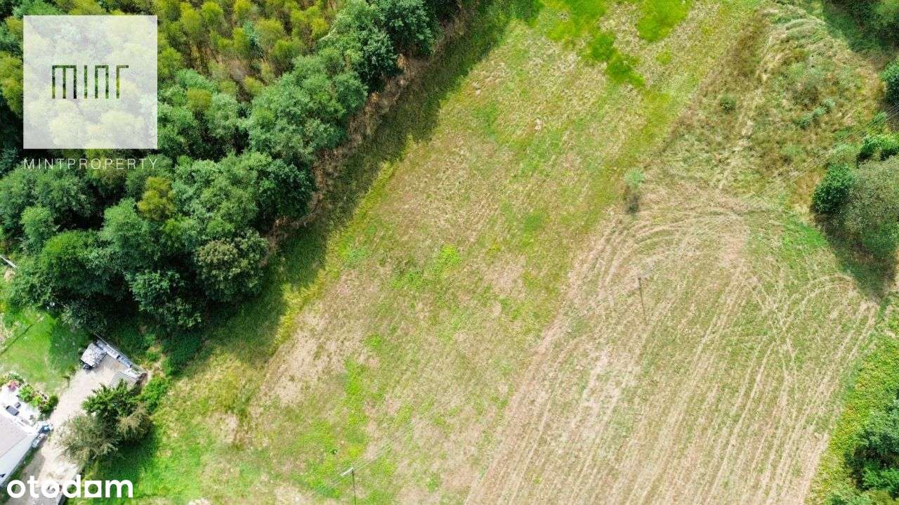 Działka na sprzedaż, Lipiny - Pełny obrazek: 4/7