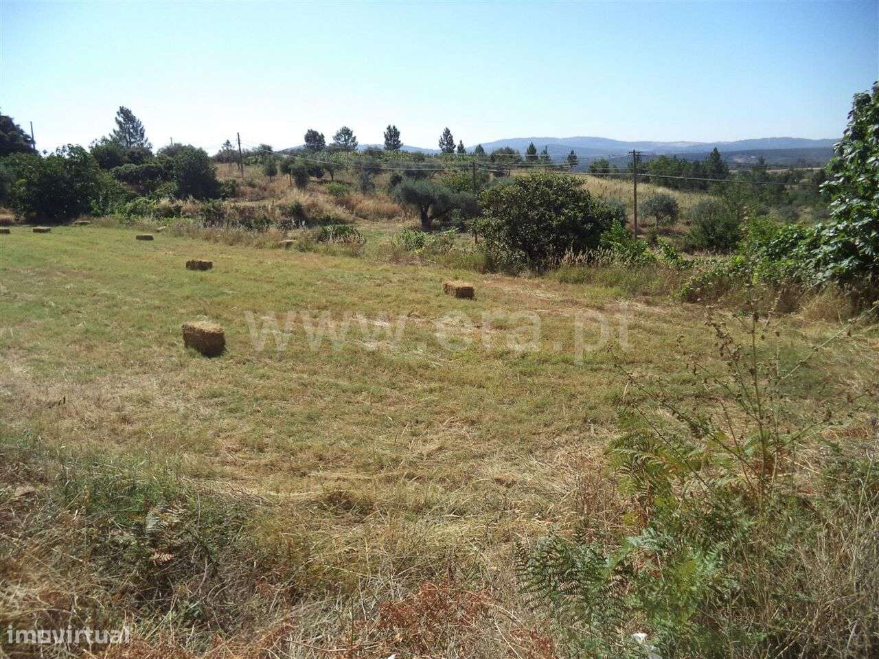 Quinta / Fundão, Pêro Viseu - Grande imagem: 4/7