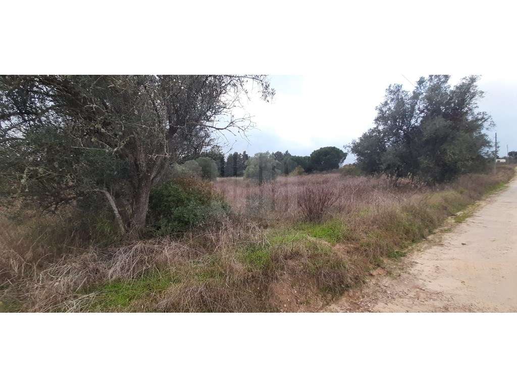 Terreno com 15.000 m² em Plena Natureza na Região de Palmela-16