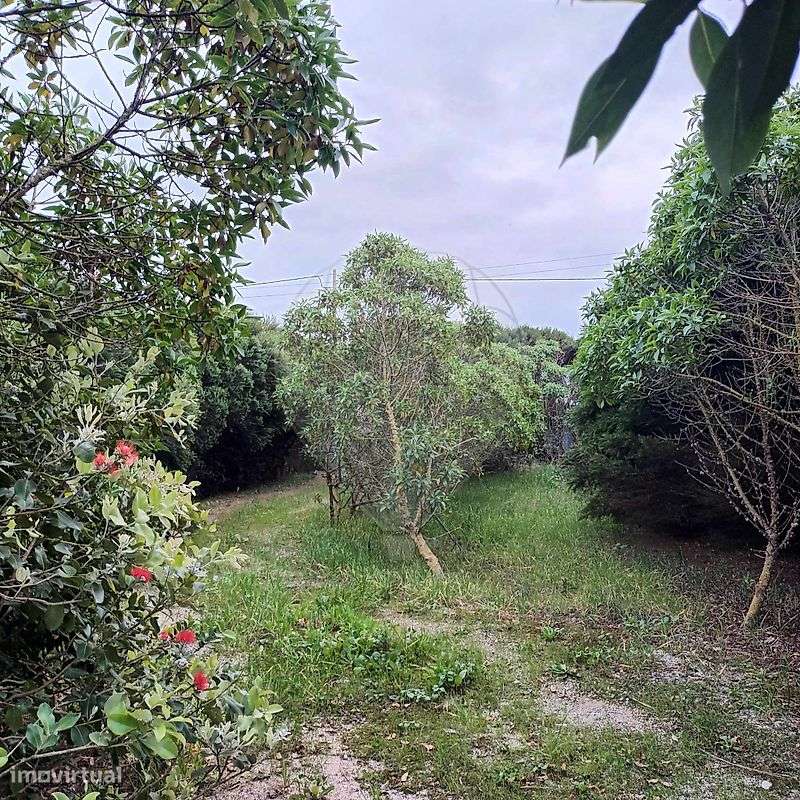 Outros - Comercial  para venda - Grande imagem: 2/16