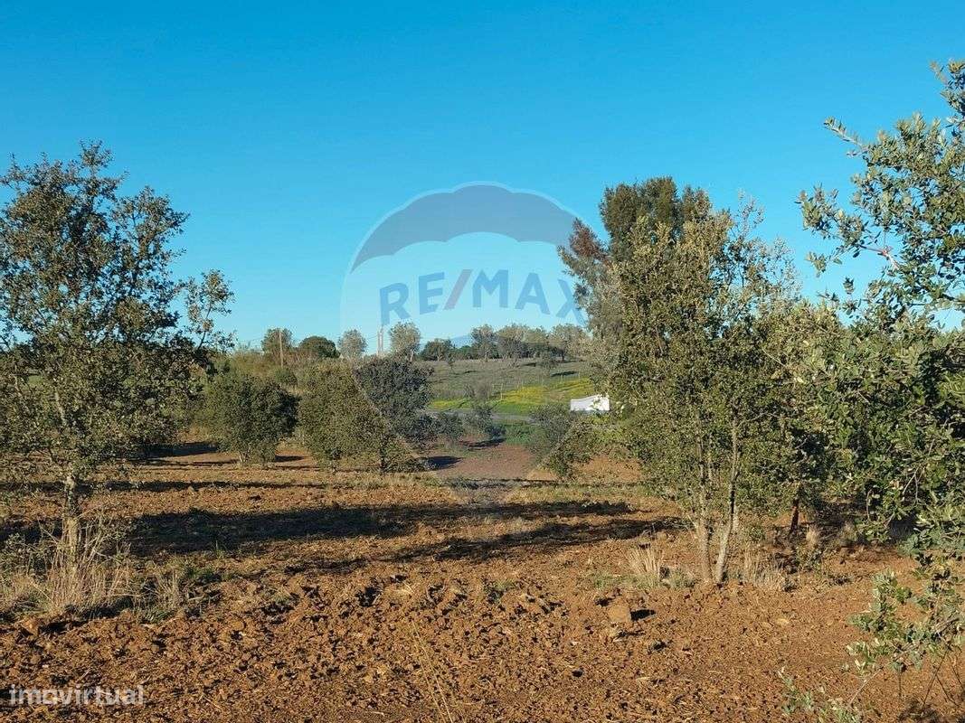 Terreno  para venda - Grande imagem: 5/8