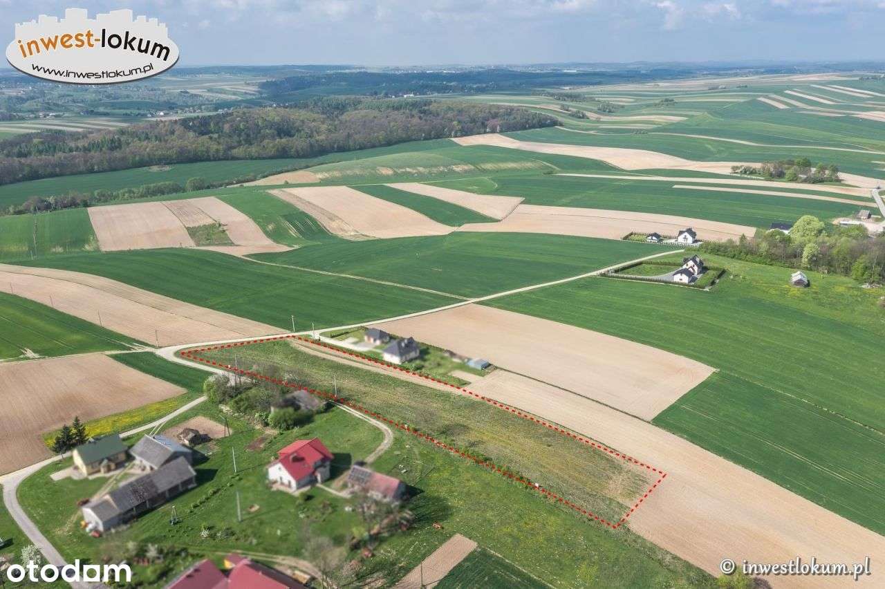Działka, 8 094 m², Zawadka - Pełny obrazek: 5/6