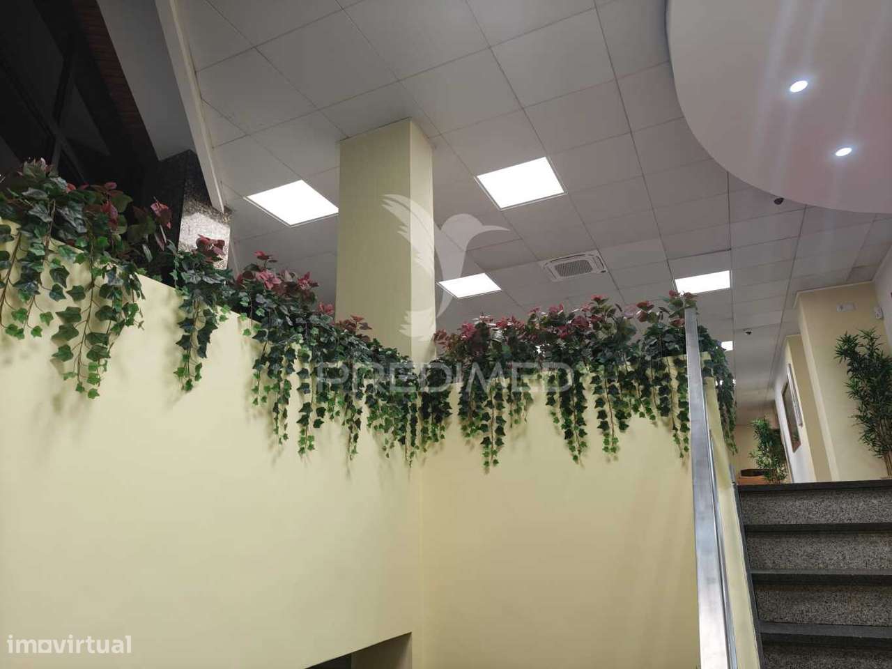 Espaço para Escritórios Comerciais - Grande imagem: 4/31