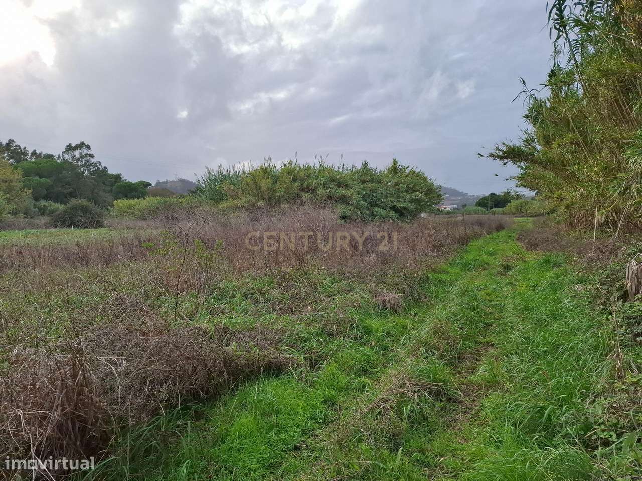 Terreno rústico - 5312m² - Asseiceira Grande - Grande imagem: 2/10