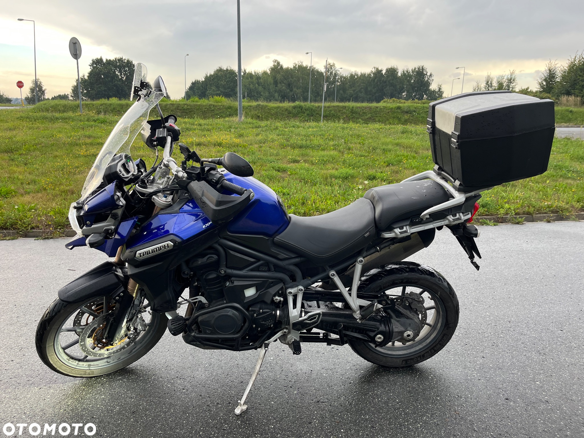 Triumph Tiger - 8