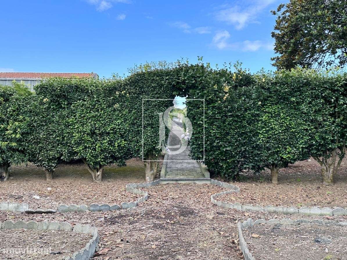 Quinta da Magnólia - Ponta Delgada-16