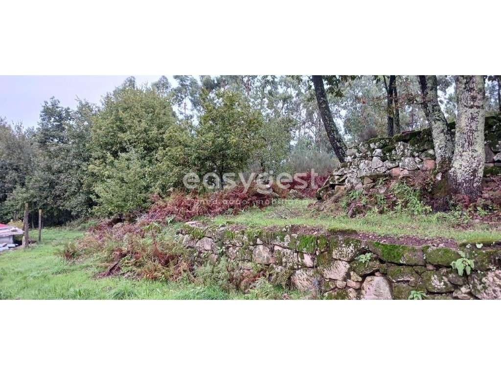 Espetacular terreno com edifício de apoio agrícola-Viseu Portugal - Grande imagem: 3/19