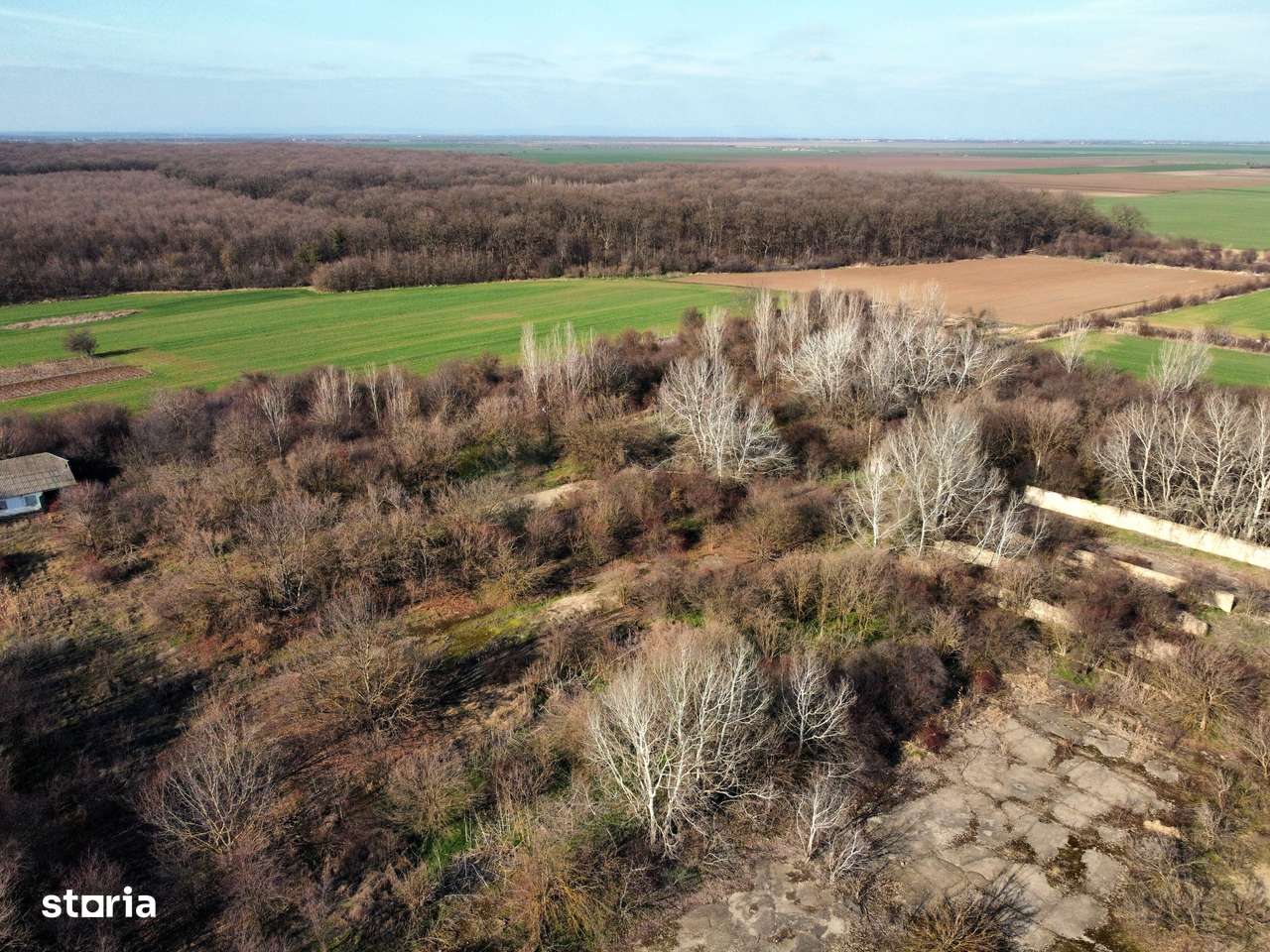 Ferma si livada de meri in judetul Ilfov-13