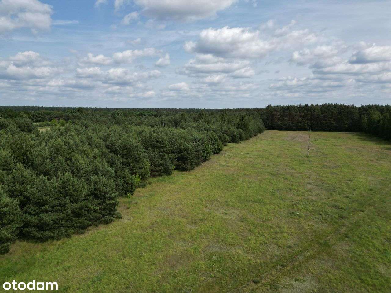 Działka budowlana 1,7ha gm. Serock, Stanisławowo. - Pełny obrazek: 4/14
