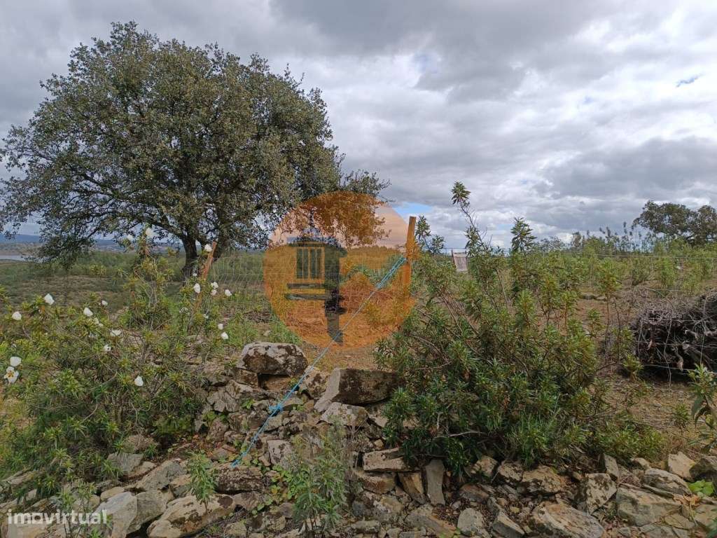 TERRENO COM 2.480 M2 - NA CHOÇA QUEIMADA - ODELEITE - CASTRO MARIM ... - Grande imagem: 3/24