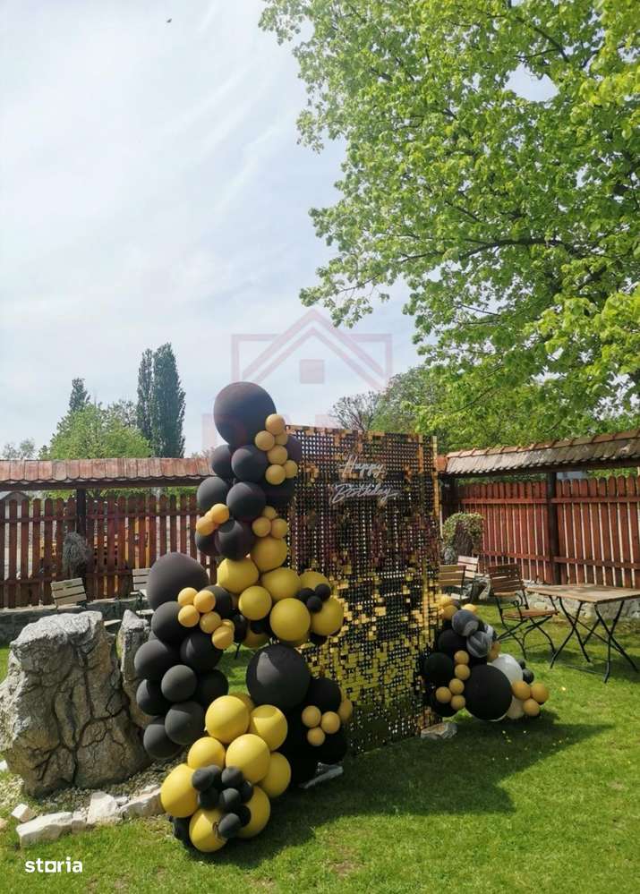 CASĂ\VILĂ DE VÂNZARE \COM. OBREJA\SAT IAZ\CARAȘ-SEVERIN-7