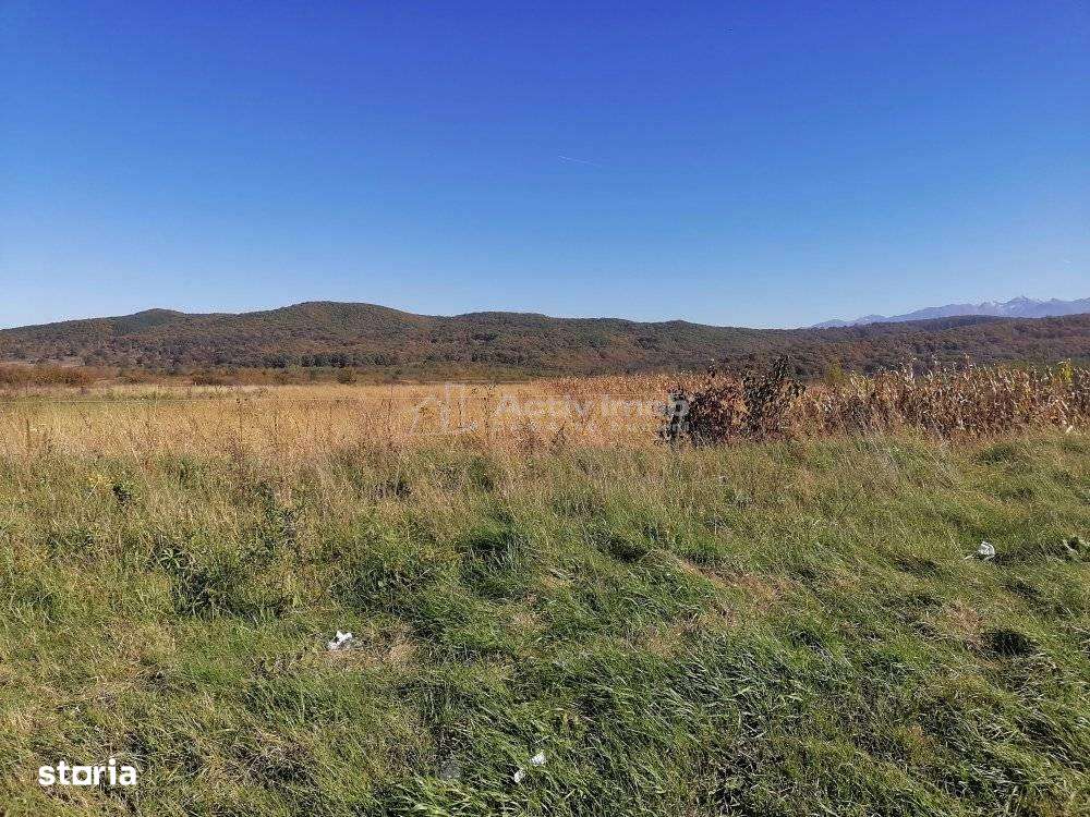 Teren intravilan  3000 mp constructii industriale - Imagine principală: 5/7