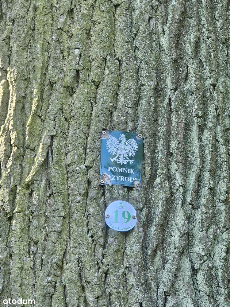 POLECAMY do sprzedaży działka budowlana w Chwałowicach-6