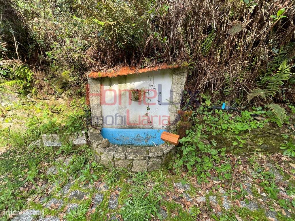 Quinta junto ao Rio Caima-13