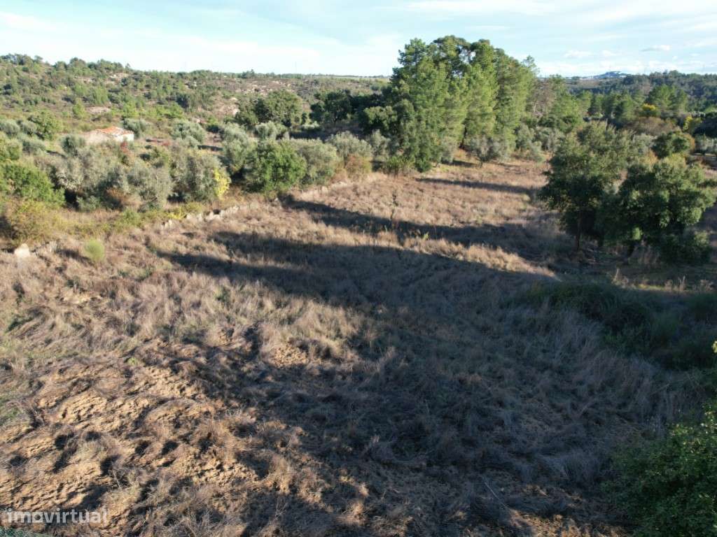 Fantástica Quinta T3 em Palvarinho - Grande imagem: 4/46