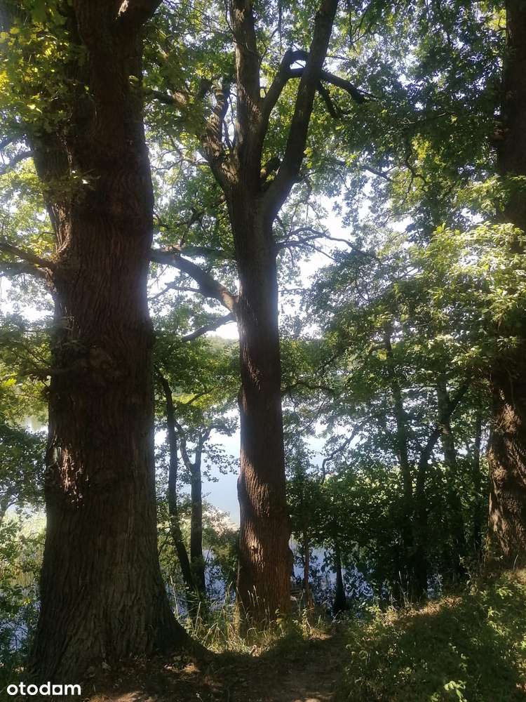 Ładna działka budowlana w lesie nad Jeziorem Tuczno-8