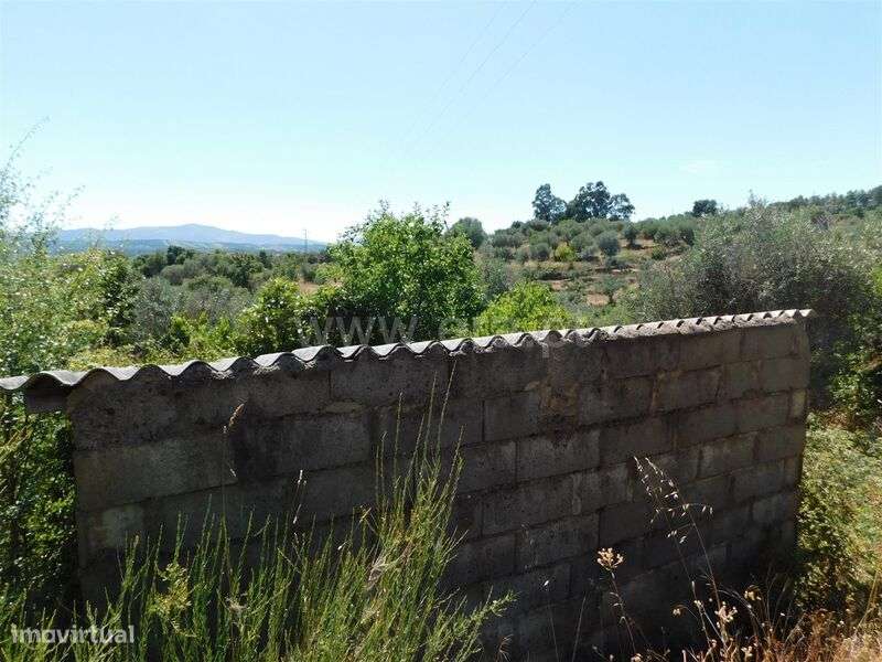 Terreno Rústico / Fundão, Capinha - Grande imagem: 5/6