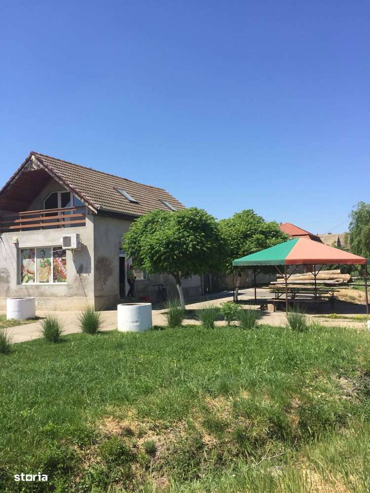 Spațiu comercial | DN69  | comuna Pesac | 50 km de Timișoara - Imagine principală: 2/9