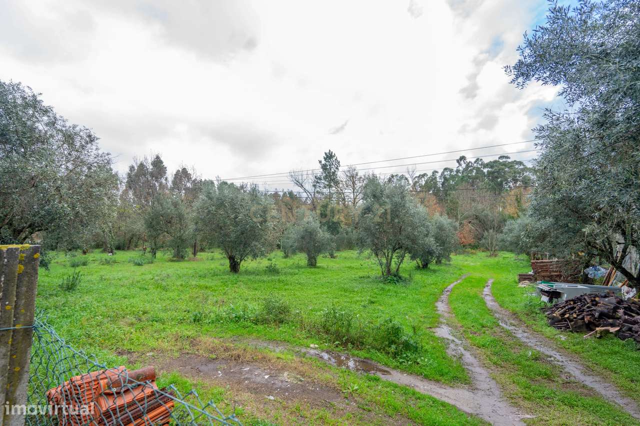 Terreno na Tapada do Tanque, Lousã - Grande imagem: 4/12