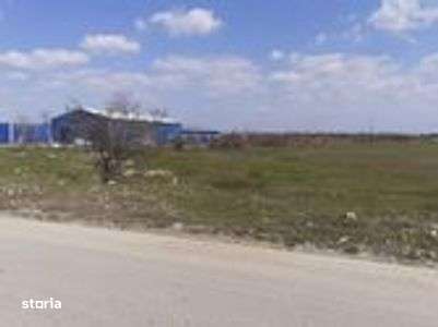 Teren intravilan 10.000 -38.000 mp industrial 1 Decembrie- DN5 stradal - Imagine principală: 4/5