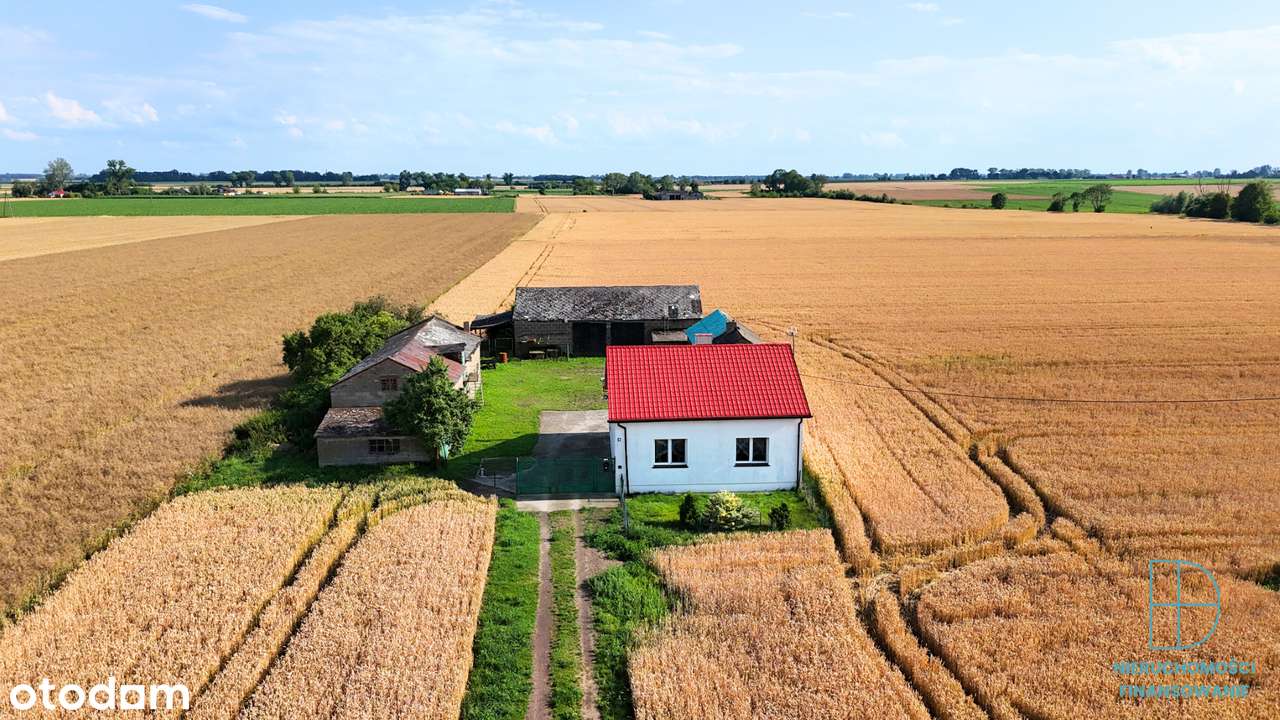 Dom z dużą działką 1,05 ha – Franki, gm. Krośniewice - Pełny obrazek: 4/17