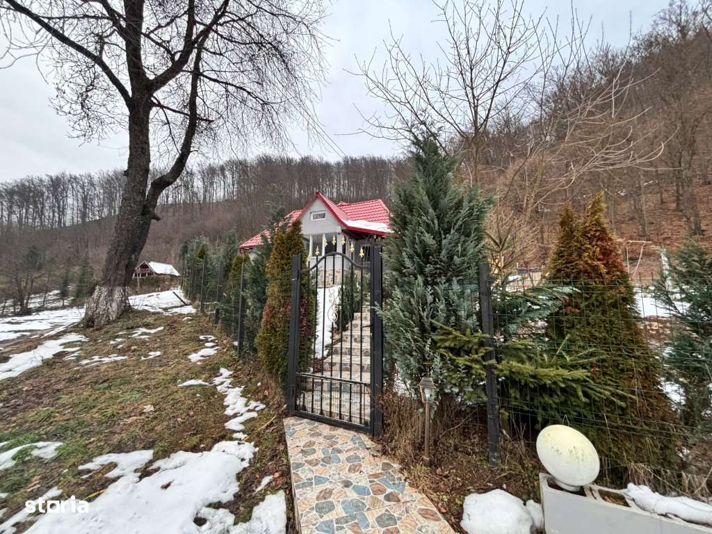Casă vânzare – Valea Neagră, Firiza-18