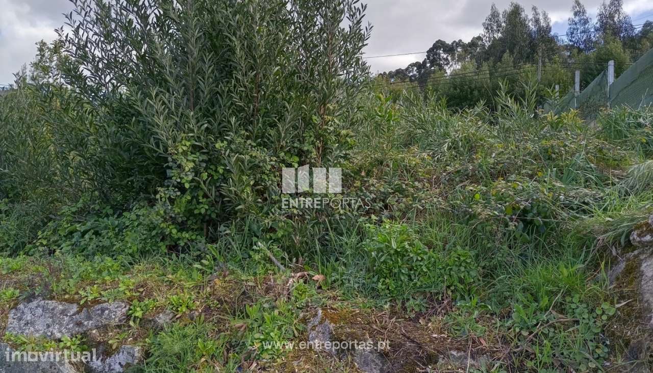 Terreno de construção para venda, Lanhelas, Caminha - Grande imagem: 5/29