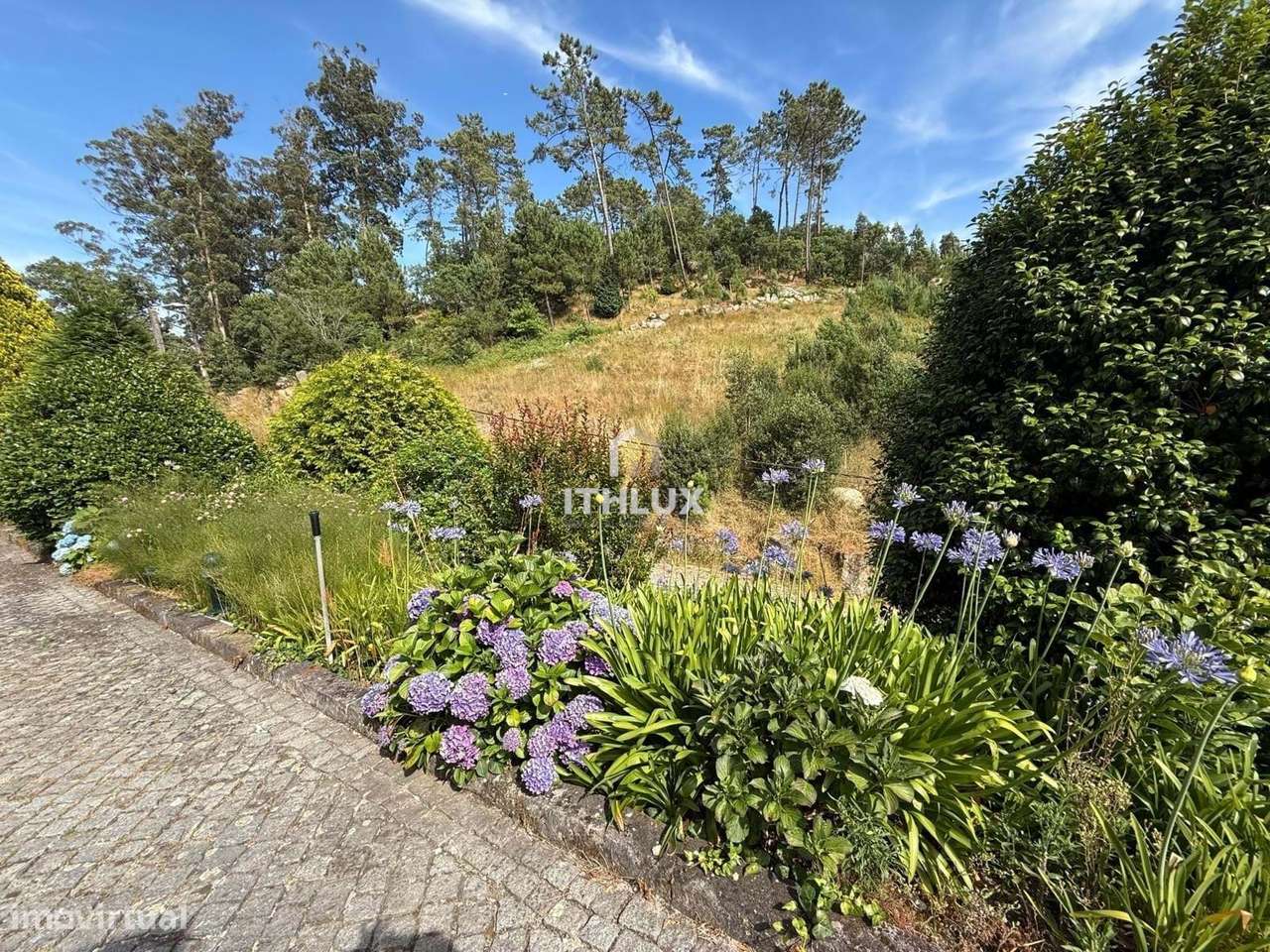 Moradia T5 com jardim espetacular em Esposende-5